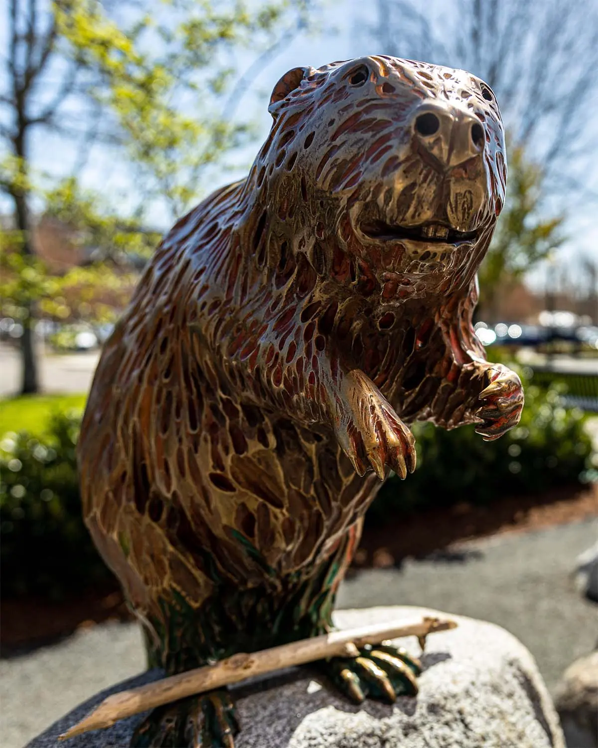 Bronze statue of a beaver